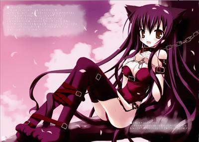 dark neko >.<