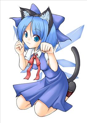 blue neko!! KAWAII!!