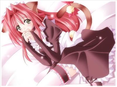 maid neko ;3