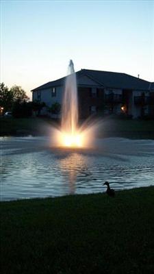 Pond View