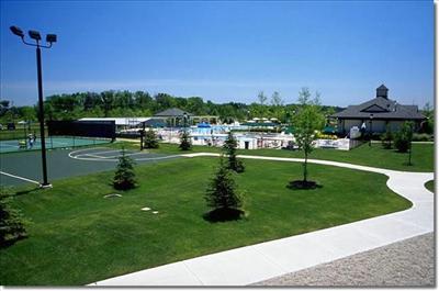 Basketball Court