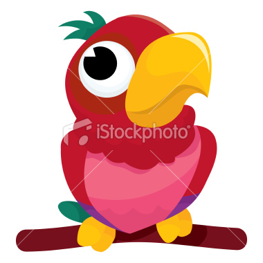 Parrot
