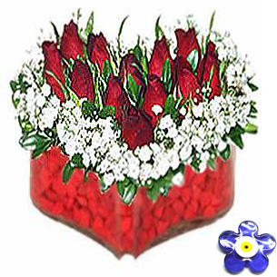 Kalpli gül
