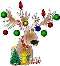 Reindeer