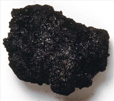 A lump of coal!