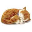 Cat Doll's