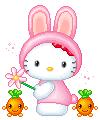 Bunny Kitty