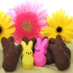 Bunnies 