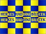 FENERBAHÇEM