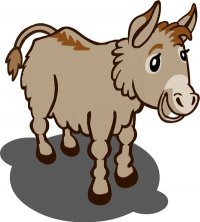 donkey