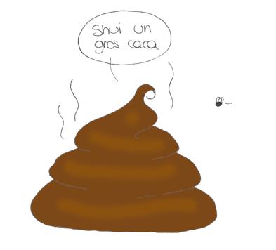 5raaa