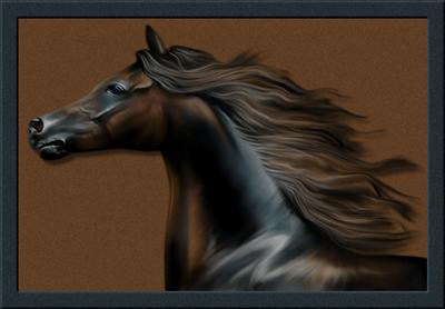 Black horse