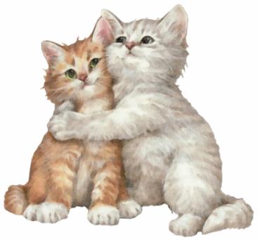 2 petits chats