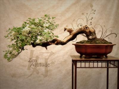 Zen...