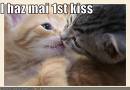 Kittens Kiss