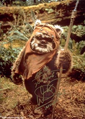 Pet Ewok
