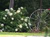 God's Glory - Come forth into the light of things; Let nature be your Teacher.