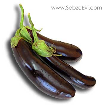 Patlican
