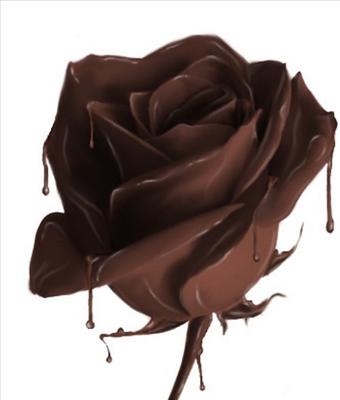Chocolate rose