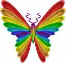 butterfly !