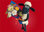 Shaun
