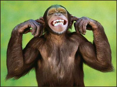 singe