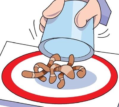 Worms
