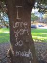 Tree-Love
