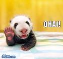 OHAI!