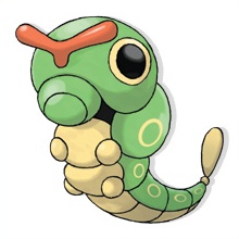 caterpie