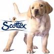 Il cagnolino dello scottex