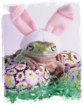 easter frog