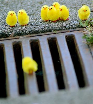 easter adventure