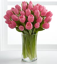 a bouquet of tulips