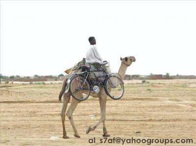 رحلة ع الجمال