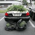 NEWS FLASH COP BUSTED