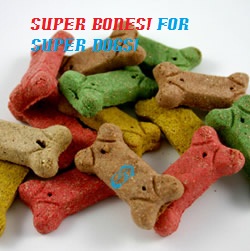 super dog bone!!!