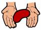 The gift of the Kidney