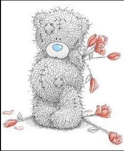 teddy