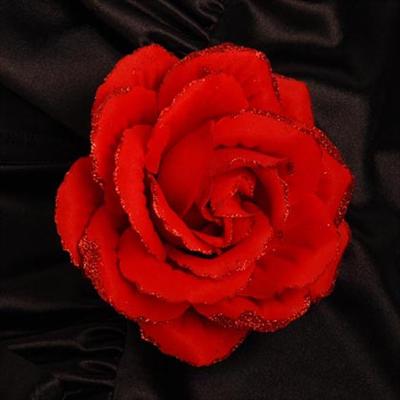 Red rose 