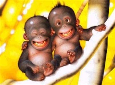 heureux(se) !! on rigoles!!