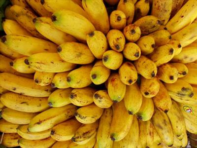 Even more banana$