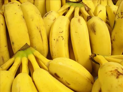 Lot's of banana$