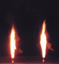Mini Flame
