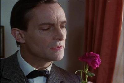 What a beautiful thing a rose is