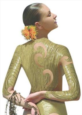 Seaweed Wrap 