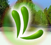 Landwied