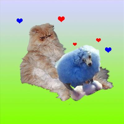 foryou