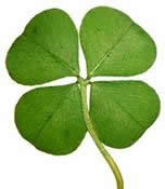 four leaf clover