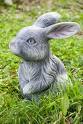 Rabbit statue